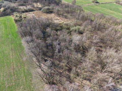 Bramsche Häuser, Bramsche Haus kaufen