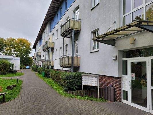 20251007_120101_resized