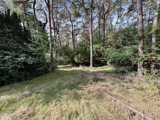 Weiterläufiger Garten