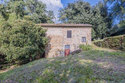 Lamporecchio Häuser, Lamporecchio Haus kaufen