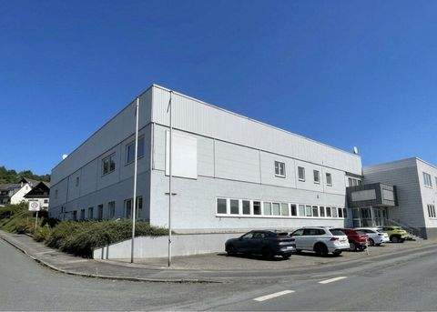 Arnsberg / Bruchhausen Halle, Arnsberg / Bruchhausen Hallenfläche