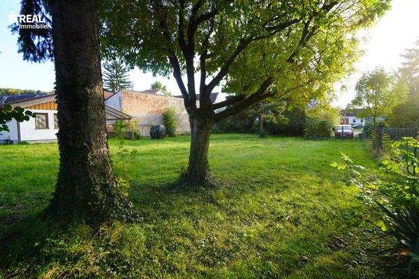 Grundstück mit Altbestand Bäume