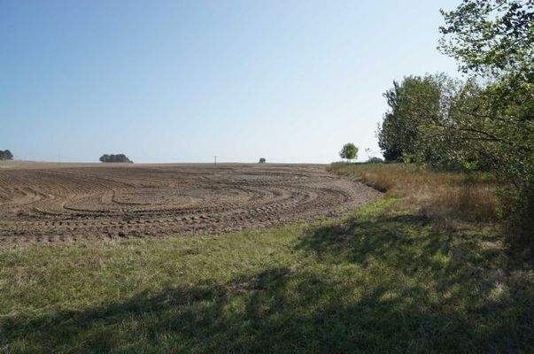 Blick von der Straße auf das Grundstück 
