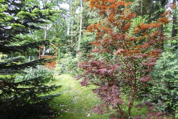 Pflanzen, Bäumen & Sträuchern