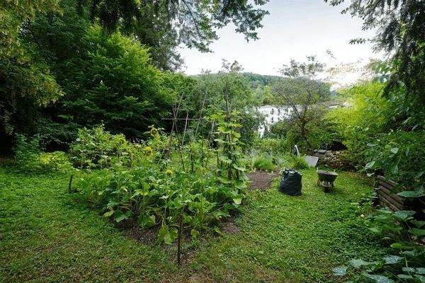 Garten / Außenbereich