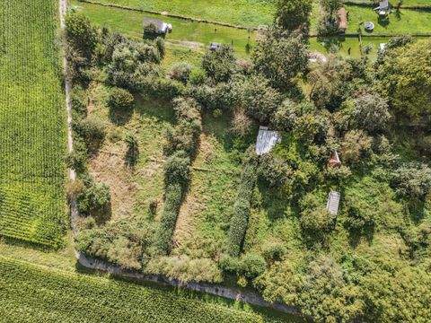 Jülich Bauernhöfe, Landwirtschaft, Jülich Forstwirtschaft