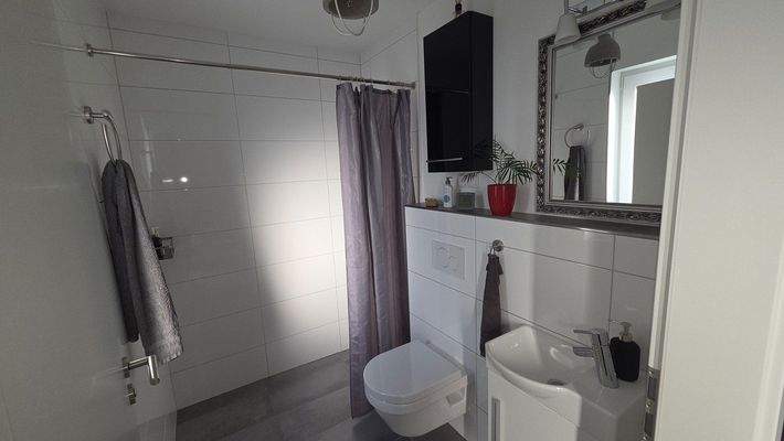 Gäste-WC mit Dusche im EG