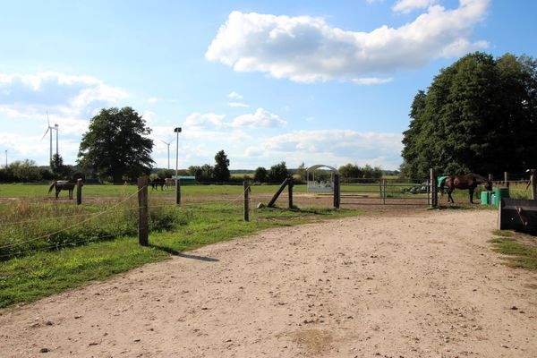 Pferdekoppel hinter dem Grundstück