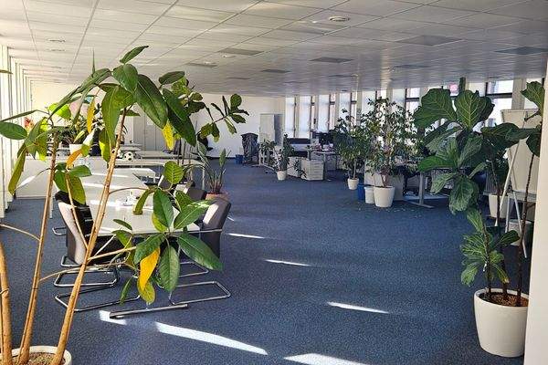 Grossraum Erdgeschoss