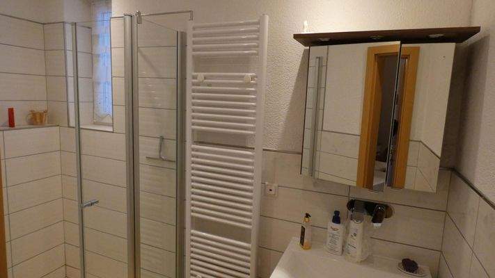 Erdgeschoss Duschbad