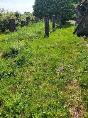 kleiner Garten Südseite