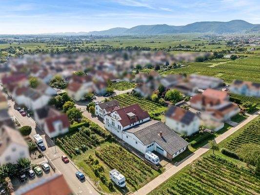 Luftaufnahme Nord-Ostseite