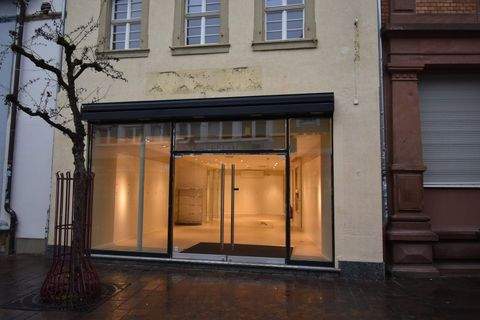 Sinsheim Ladenlokale, Ladenflächen 