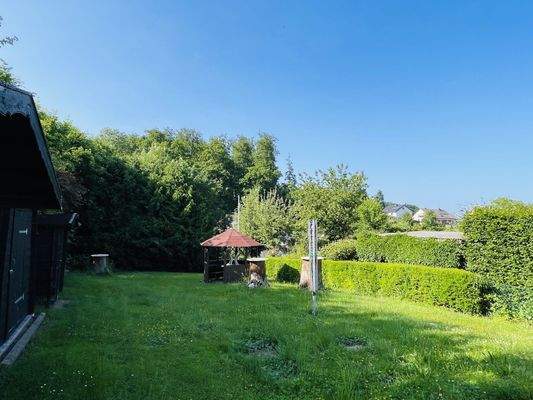 Blick in den Garten