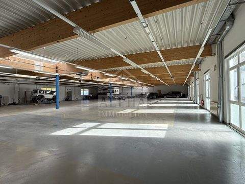 Heidenheim an der Brenz Renditeobjekte, Mehrfamilienhäuser, Geschäftshäuser, Kapitalanlage