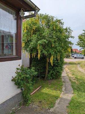 Weg von der Auffahrt 