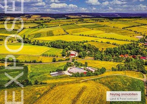 Ringgau Häuser, Ringgau Haus kaufen