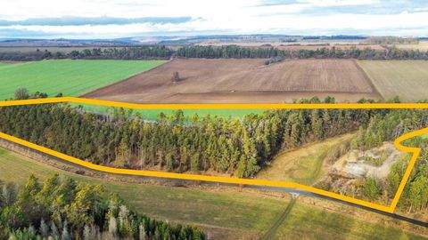 Blankenhain Bauernhöfe, Landwirtschaft, Blankenhain Forstwirtschaft