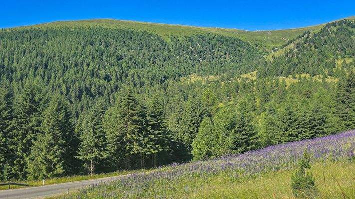 sommerfotosfalkertseetoplagekaufenkitzimmo-3