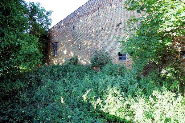 Blick in den Gartenbereich (4).jpg