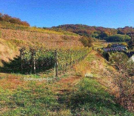 Bildschirmfoto 2025-09-03 um 09.01.49.jpg