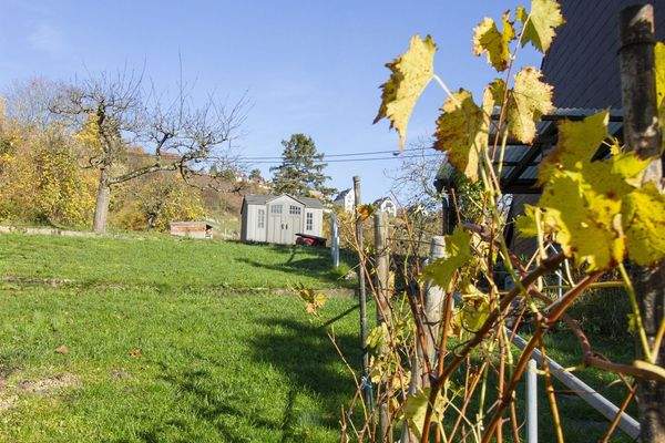 Gartengrundstück / Bauland mit Gartenhütte