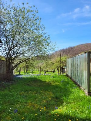 Gartenanblick.jpg