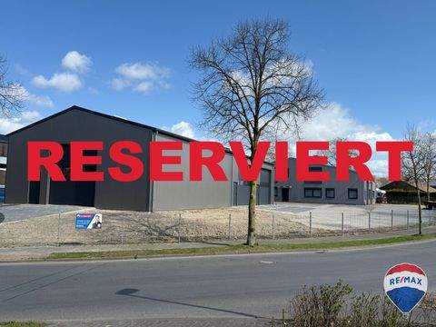 Kleve Halle, Kleve Hallenfläche