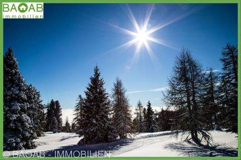 ALP Häuser, ALP Haus kaufen