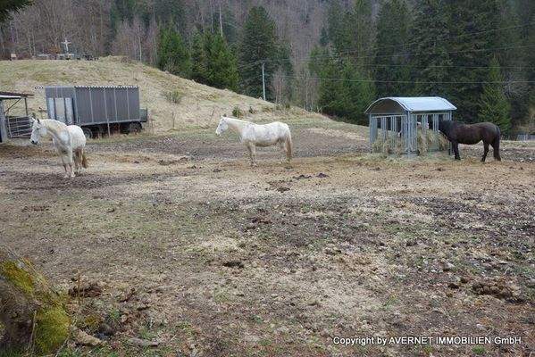 Dazu gehörende Grundstücke