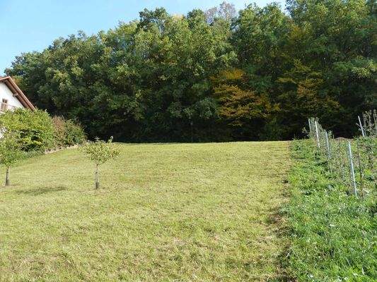 Ansicht von Südwesten