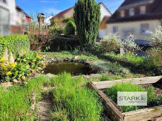 Außenansicht Garten 3.jpg