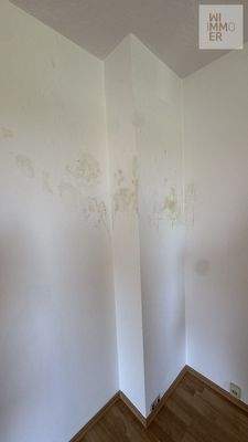 Östlicher Gebäudeteil OG - Kaminversottung:Stockflecken (1)