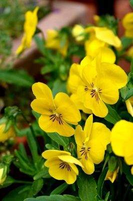 .. Wohnen und Arbeiten !