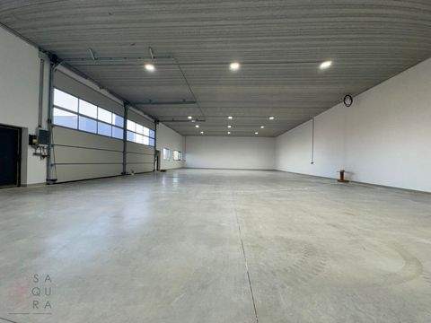 Unterwaltersdorf / Unterwaltersdorf Halle, Unterwaltersdorf / Unterwaltersdorf Hallenfläche