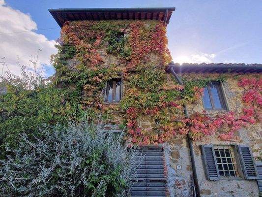 77LAzienda_ agricola_Toskana.jpg