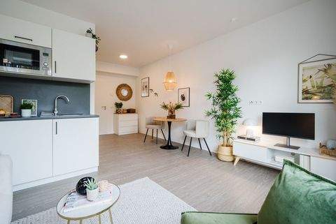 Frankfurt Wohnungen, Frankfurt Wohnung kaufen