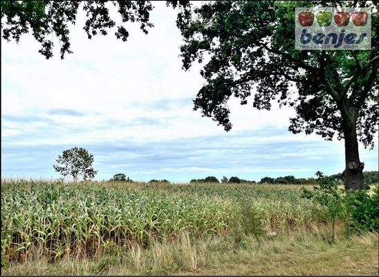 Landverkauf in Kirchweyhe