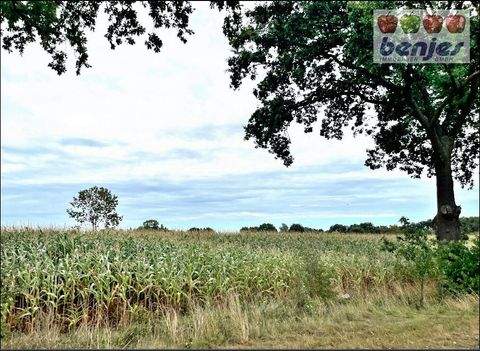 Weyhe / Hahnenfelde Bauernhöfe, Landwirtschaft, Weyhe / Hahnenfelde Forstwirtschaft