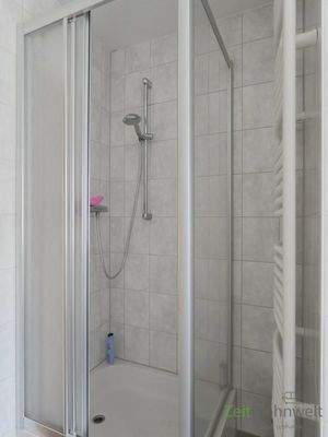 Dusche und Handtuchheizkörper