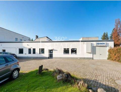 Pulheim Halle, Pulheim Hallenfläche