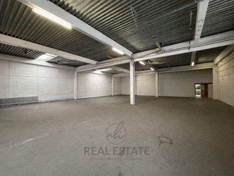 Barsbüttel Halle, Barsbüttel Hallenfläche