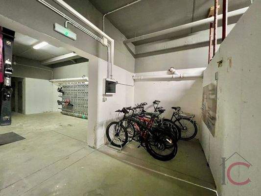 Apparterment Ebene Reichenau (45)