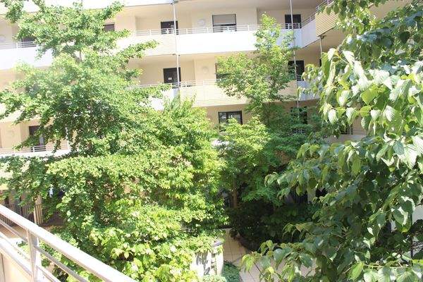 begrünter Innenhof Bild 1