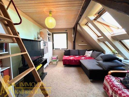 DG: Wohnzi. mit Spitzbodenzugang