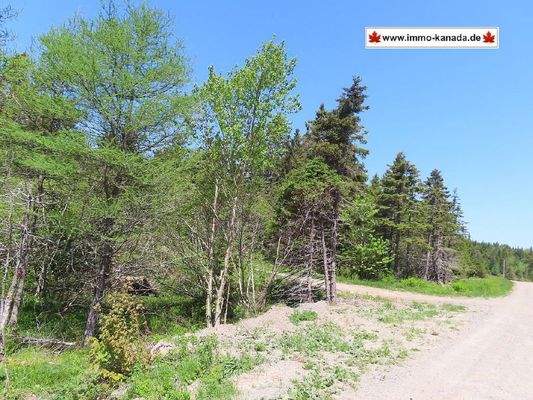 Cape Breton - 11,4 Hektar inmitten einer herrliche