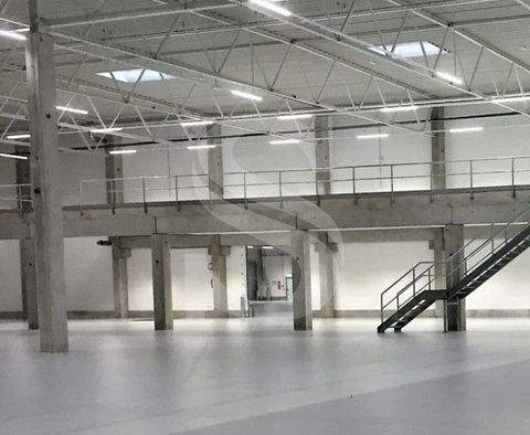 Pforzheim Renditeobjekte, Mehrfamilienhäuser, Geschäftshäuser, Kapitalanlage