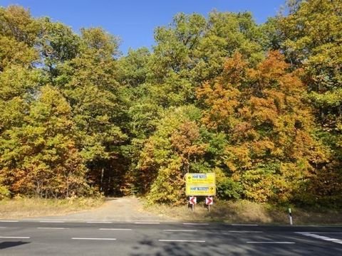 Bad Kissingen Wohnungen, Bad Kissingen Wohnung mieten