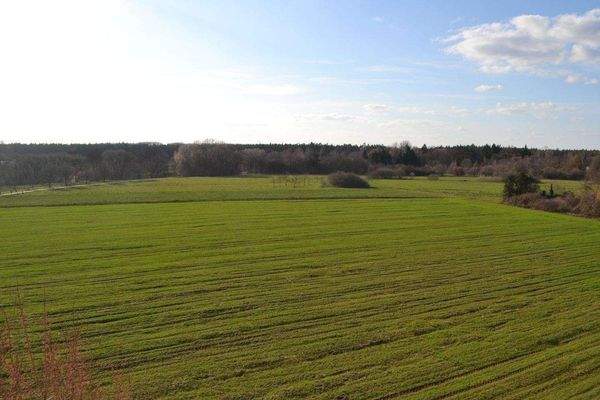 Ausblick auf das Landschaftsschutzgebiet