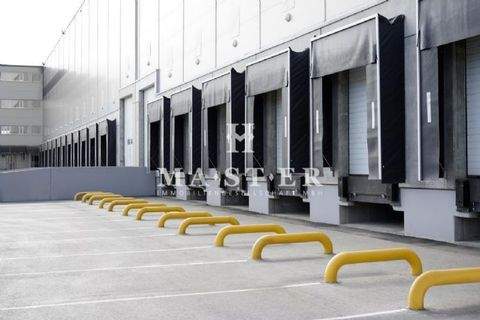 Ketsch Halle, Ketsch Hallenfläche